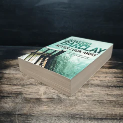 Never Look Away - Linwood Barclay รูปที่ 4