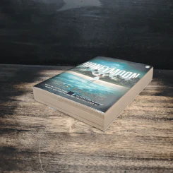 The Honeymoon - Tina Seskis รูปที่ 4
