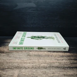 Infinite Ground - Martin MacInnes รูปที่ 3
