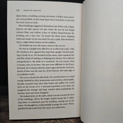 Infinite Ground - Martin MacInnes รูปที่ 8