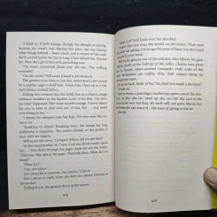 The Sanatorium - Sarah Pearse รูปที่ 8