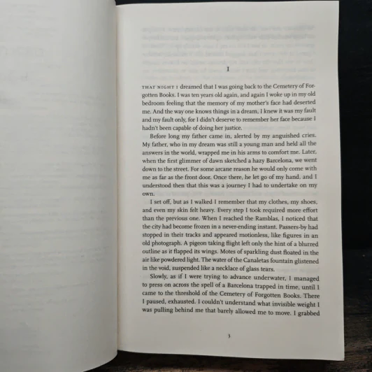 The Labyrinth of the Spirits - Carlos Ruiz Zafón รูปที่ 7