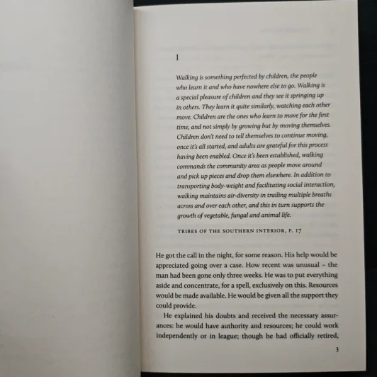Infinite Ground - Martin MacInnes รูปที่ 7
