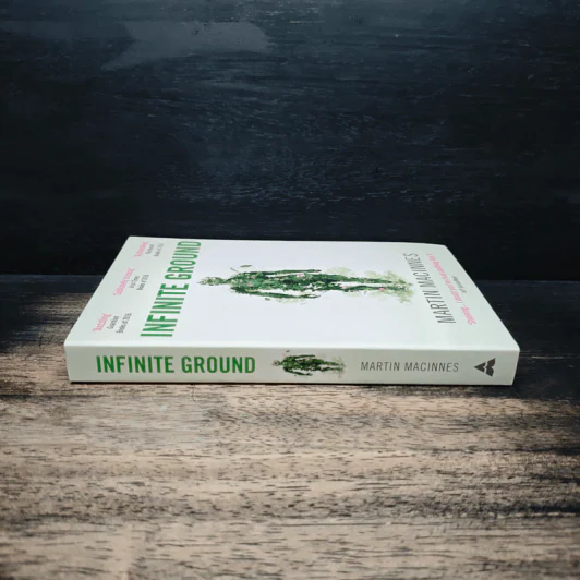 Infinite Ground - Martin MacInnes รูปที่ 3