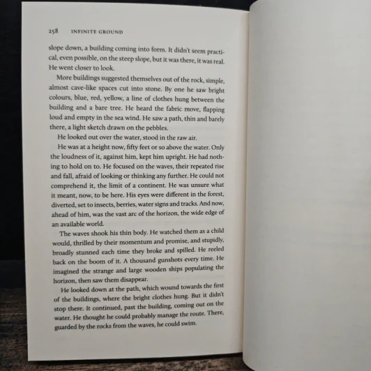 Infinite Ground - Martin MacInnes รูปที่ 8