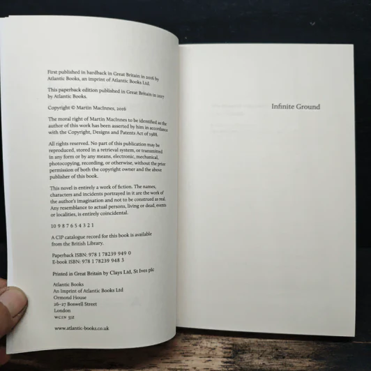 Infinite Ground - Martin MacInnes รูปที่ 6