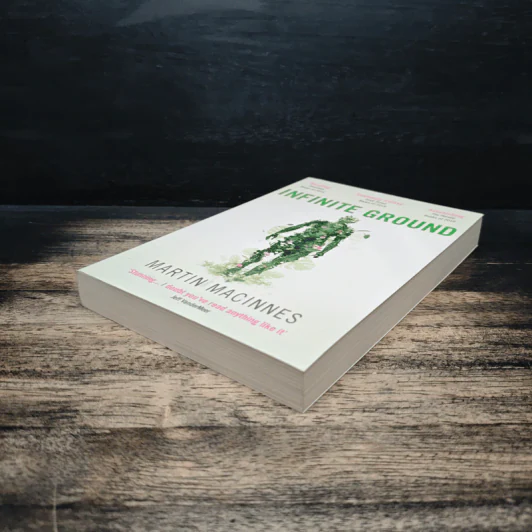 Infinite Ground - Martin MacInnes รูปที่ 4