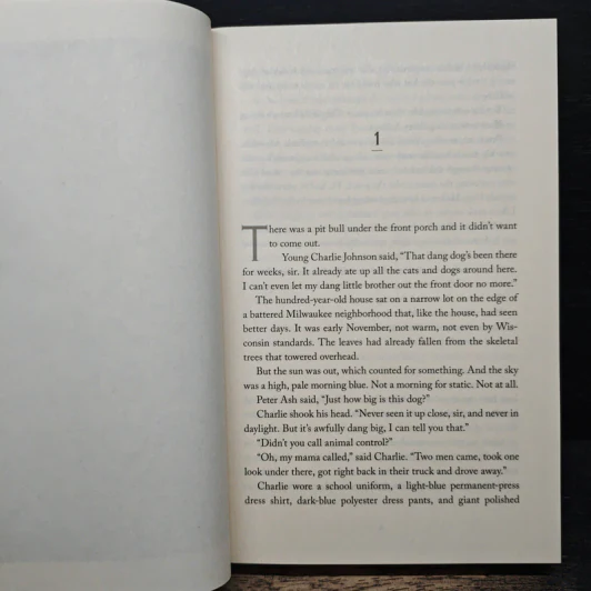 The Drifter - Nick Petrie รูปที่ 7