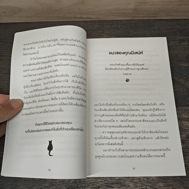 เมื่อแมวที่บ้านคุณผันตัวเองมาเป็นไลฟ์โค้ช How to Live Like Your Cat - Stephane Garnier, อรณี อรุณีกุล รูปที่ 8