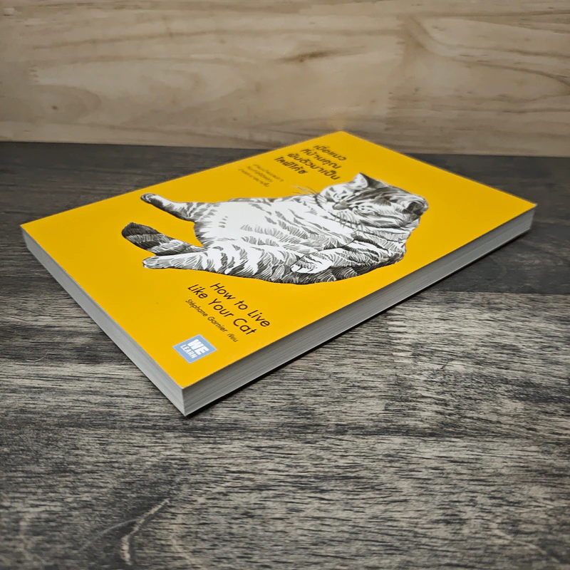 เมื่อแมวที่บ้านคุณผันตัวเองมาเป็นไลฟ์โค้ช How to Live Like Your Cat - Stephane Garnier, อรณี อรุณีกุล รูปที่ 3