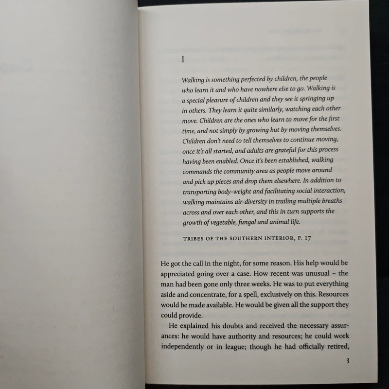Infinite Ground - Martin MacInnes รูปที่ 7