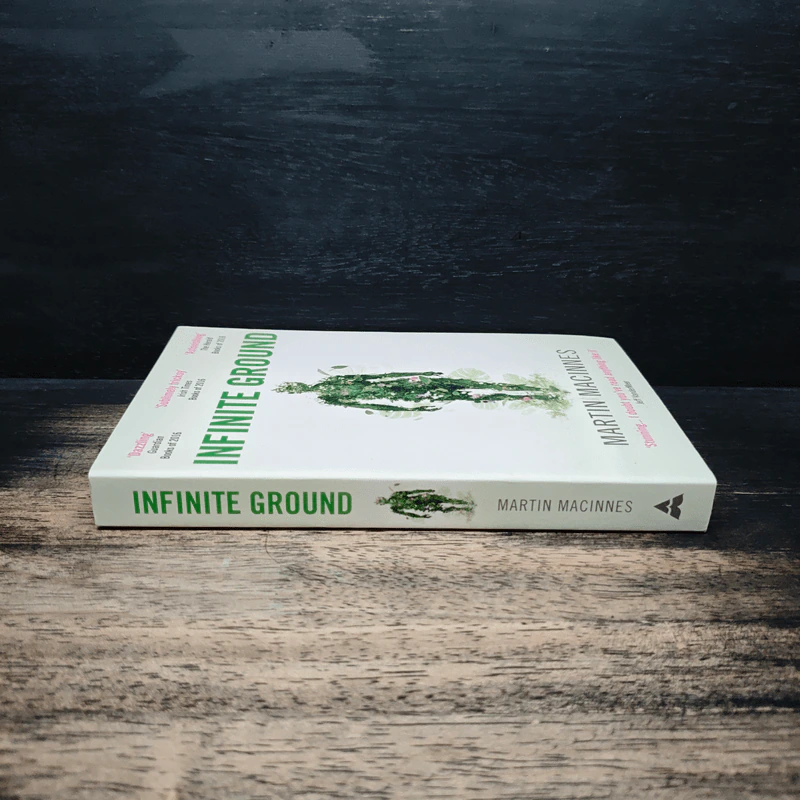 Infinite Ground - Martin MacInnes รูปที่ 3