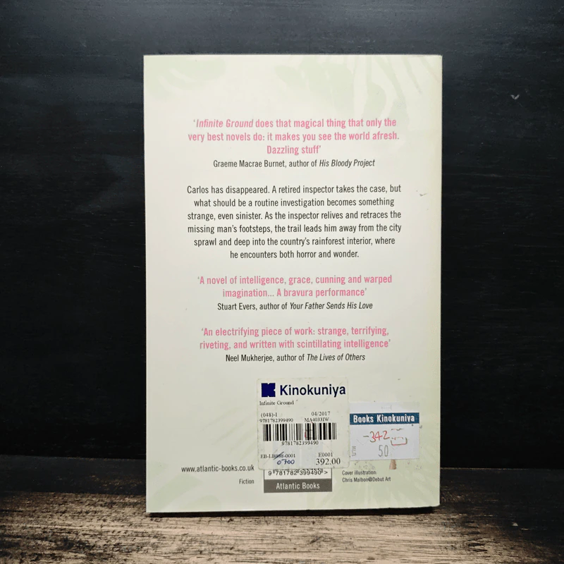Infinite Ground - Martin MacInnes รูปที่ 2
