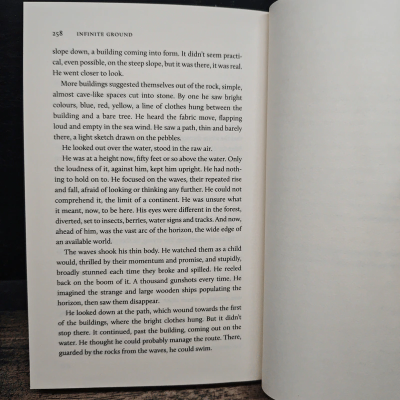Infinite Ground - Martin MacInnes รูปที่ 8