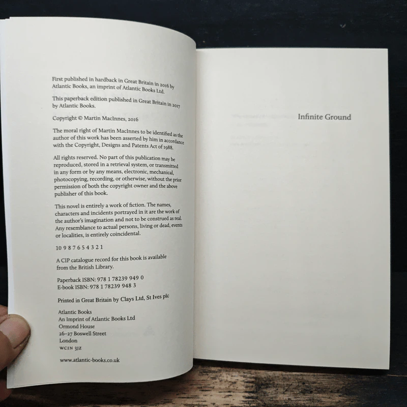 Infinite Ground - Martin MacInnes รูปที่ 6