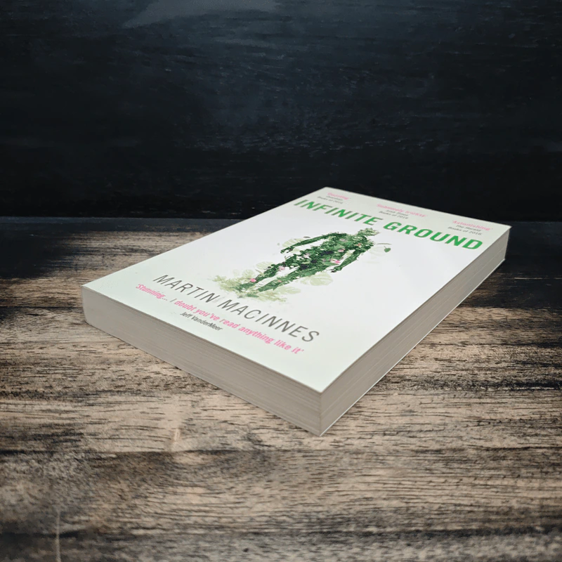 Infinite Ground - Martin MacInnes รูปที่ 4