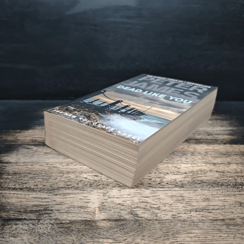 Dead Like You - Peter James รูปที่ 4