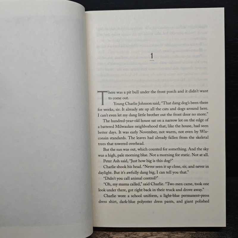 The Drifter - Nick Petrie รูปที่ 7