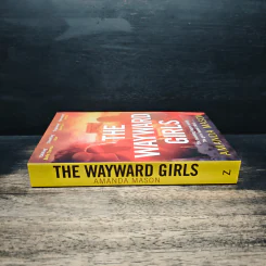 The Wayward Girls - Amanda Mason รูปที่ 3
