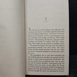 Gray Mountain - John Grisham รูปที่ 7