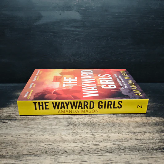The Wayward Girls - Amanda Mason รูปที่ 3