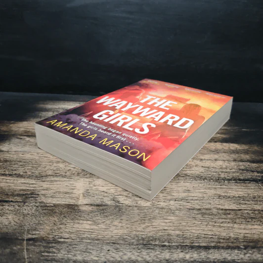The Wayward Girls - Amanda Mason รูปที่ 4
