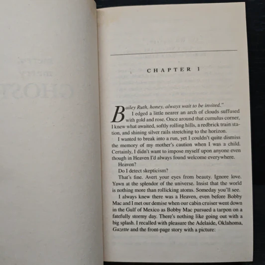 Merry, Merry Ghost - Carolyn Hart รูปที่ 7