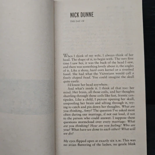 GONE GIRL - Gillian Flynn รูปที่ 7