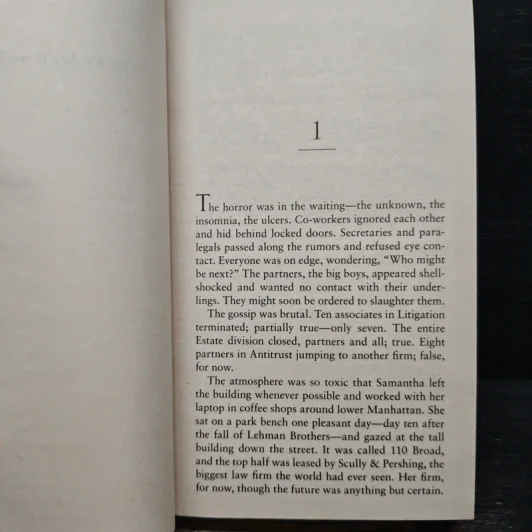 Gray Mountain - John Grisham รูปที่ 7