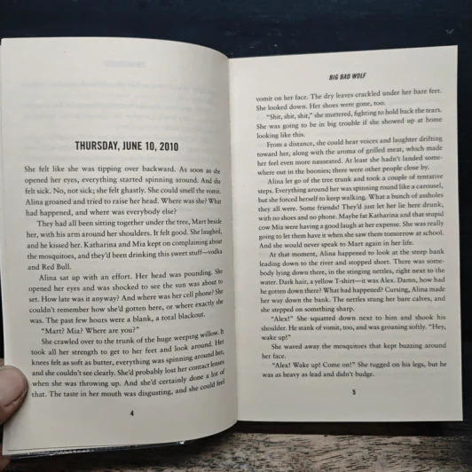 Big Bad Wolf - Nele Neuhaus รูปที่ 7