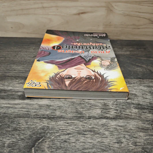 ตำนานประหลาดสุนัขทั้งแปดแห่งบูรพาทิศ เล่ม 4 - Abe Miyuki รูปที่ 4