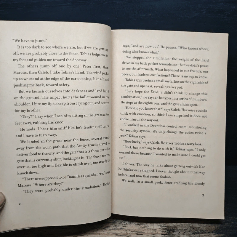 Insurgent - Veronica Roth รูปที่ 8