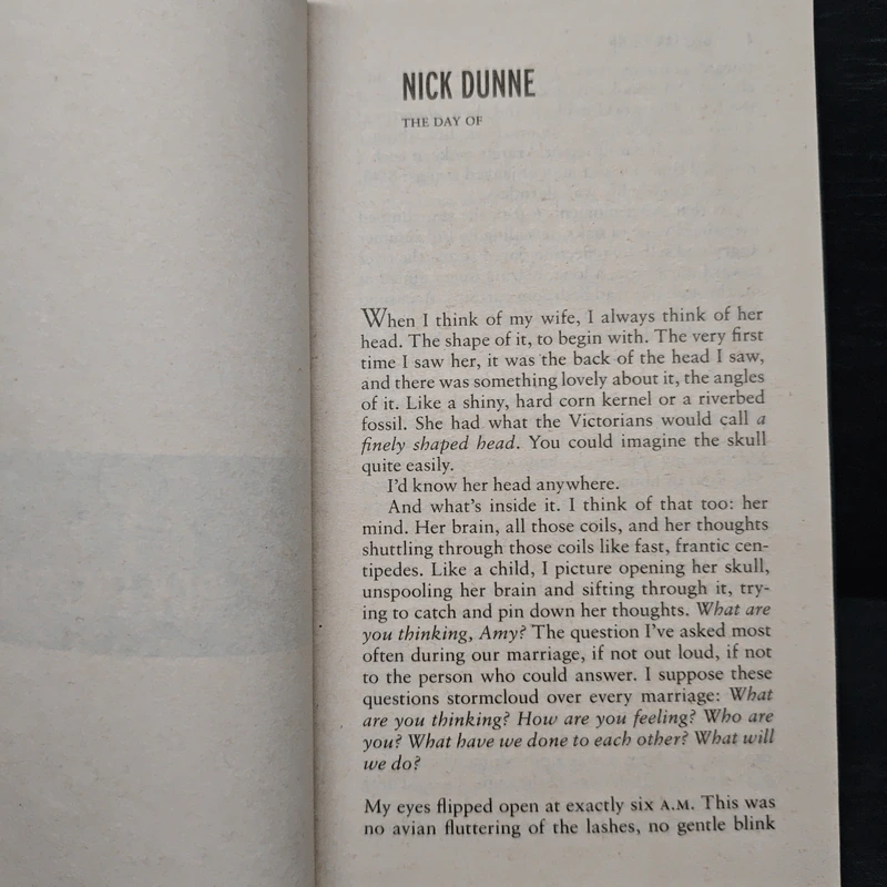 GONE GIRL - Gillian Flynn รูปที่ 7