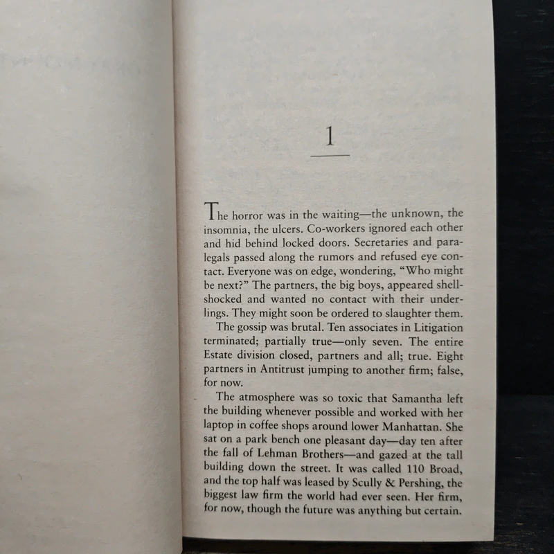 Gray Mountain - John Grisham รูปที่ 7