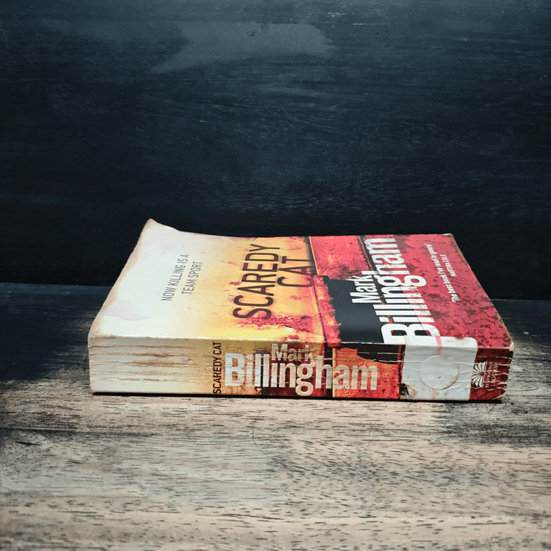 Scaredy Cat - Mark Billingham รูปที่ 3