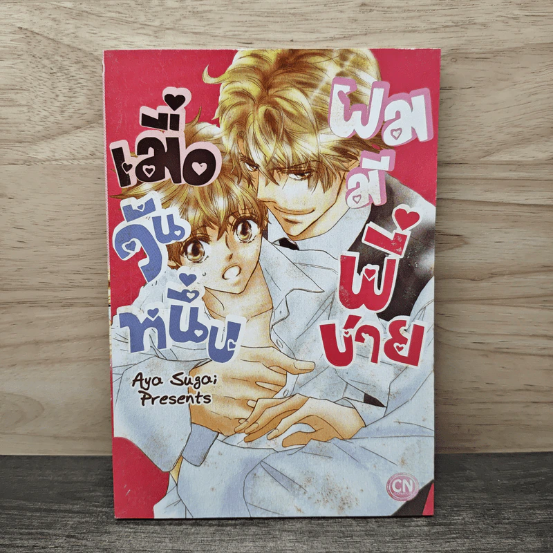 เมื่อวันหนึ่งผมมีพี่ชาย - Aya Sugai รูปที่ 1