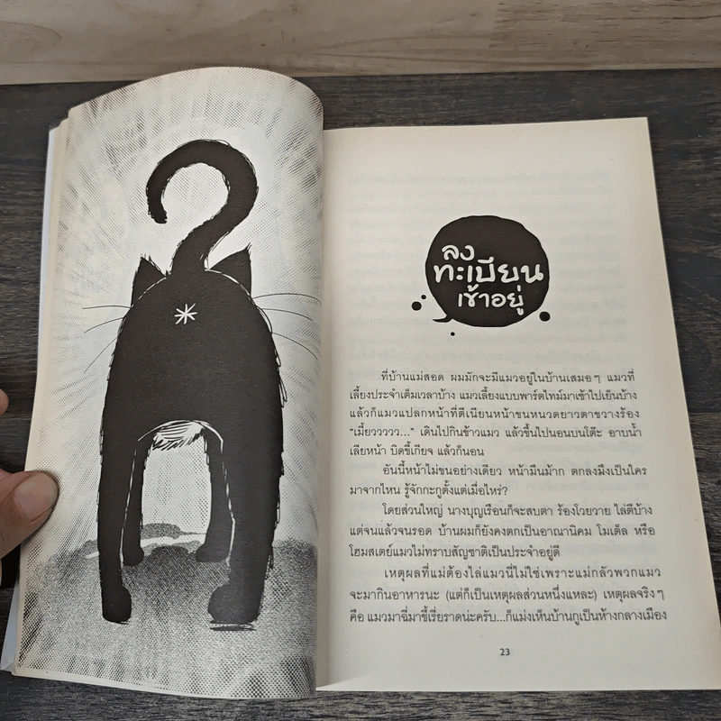 มันมากับความเหมียว - วิชัย รูปที่ 10