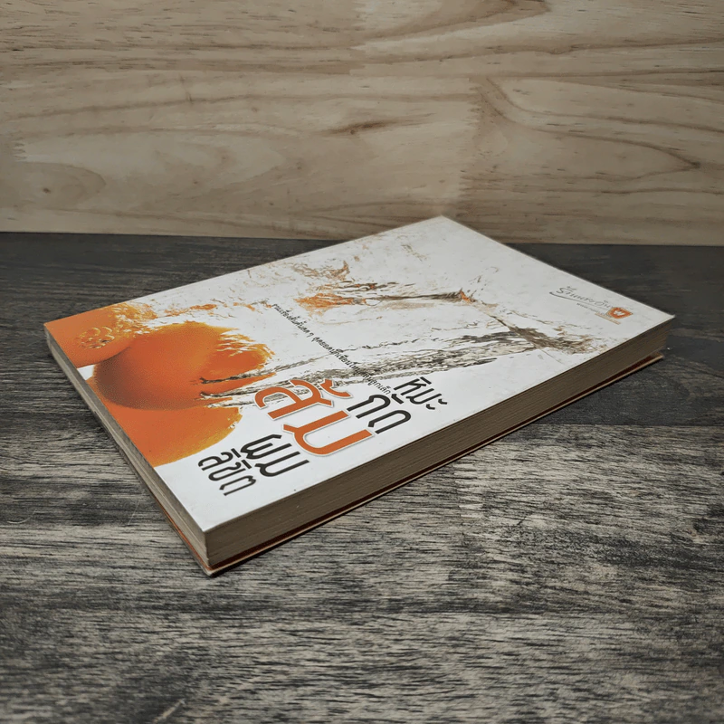 หิมะกัด ส้ม ผมลิขิต - สุรชัย พิงชัยภูมิ รูปที่ 3