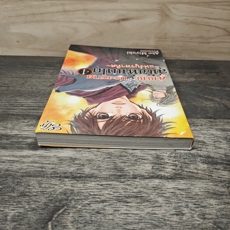 ตำนานประหลาดสุนัขทั้งแปดแห่งบูรพาทิศ เล่ม 4 - Abe Miyuki รูปที่ 4