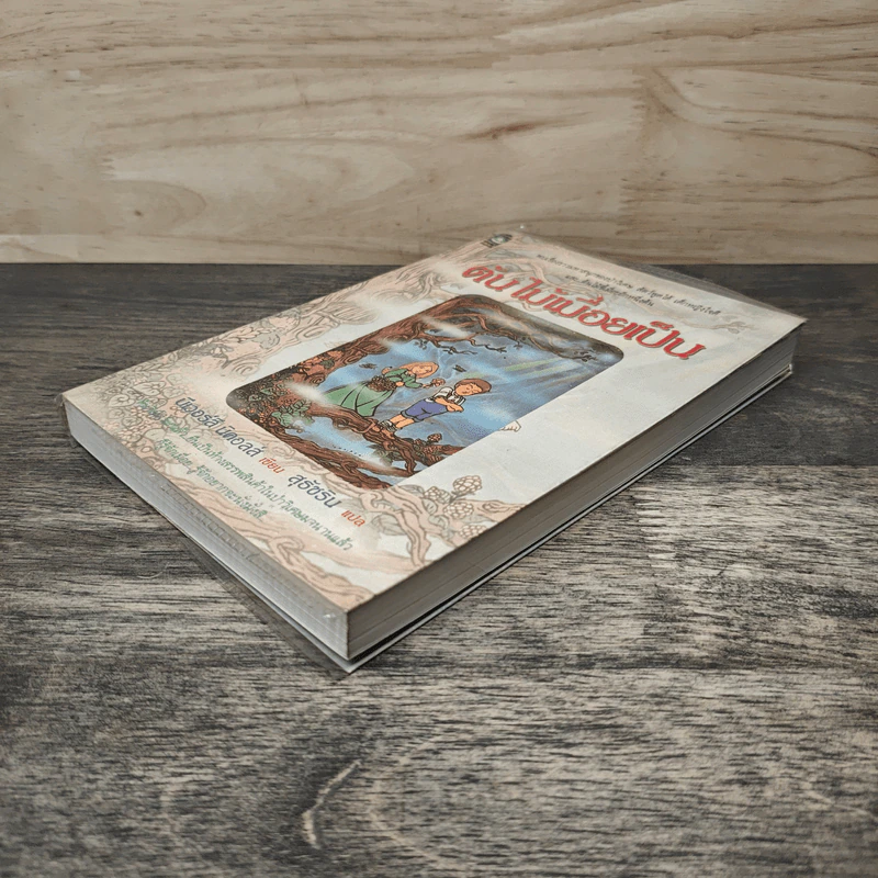 ต้นไม้เมื่อยเป็น - บีเวอร์ลี นิคอลส์, สุธัชริน รูปที่ 3
