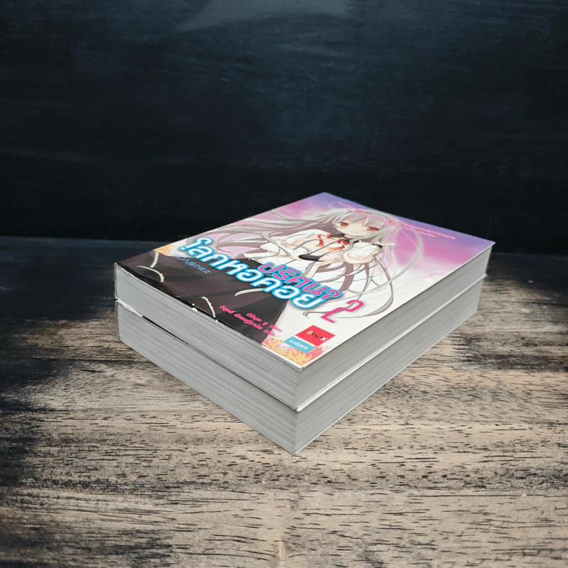 ปริศนาโลกหอคอย เล่ม 1-2 - นิชิมุระ ยู รูปที่ 4