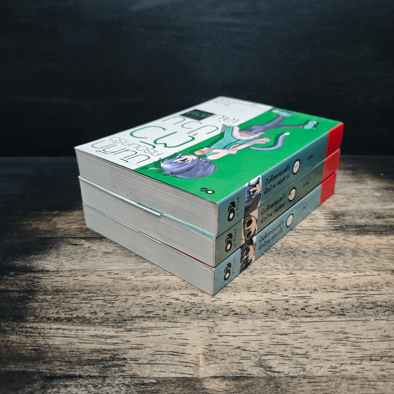 บันทึกครอบครัวตัวป่วน เล่ม 1-3 - อากิระ รูปที่ 4