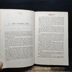 Duma Key - Stephen King รูปที่ 8