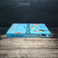 The Dilemma - B.A. Paris รูปที่ 3