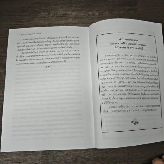 บุญบรรพ์ บรรพ 1 - ศรีฟ้า ลดาวัลย์ รูปที่ 8
