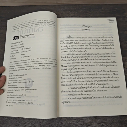 ดั่งฟ้าลงทัณฑ์ - พิณลลิน รูปที่ 6