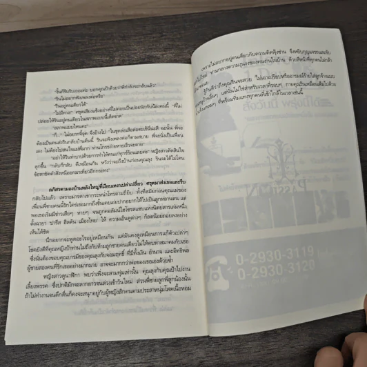 ดั่งฟ้าลงทัณฑ์ - พิณลลิน รูปที่ 8