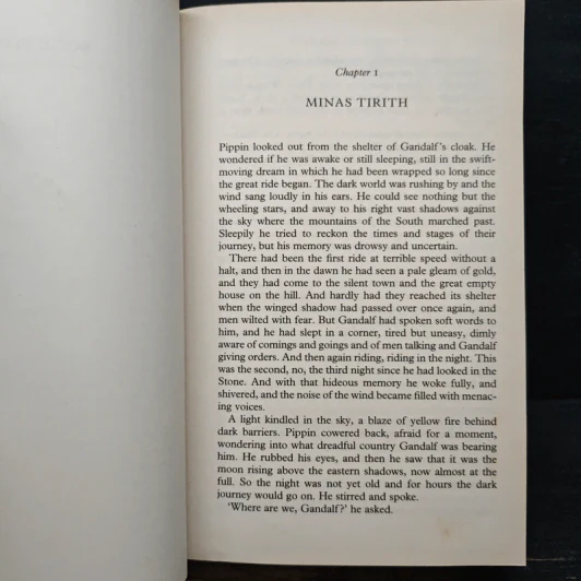 The Return of the King - J.R.R. Tolkien รูปที่ 9