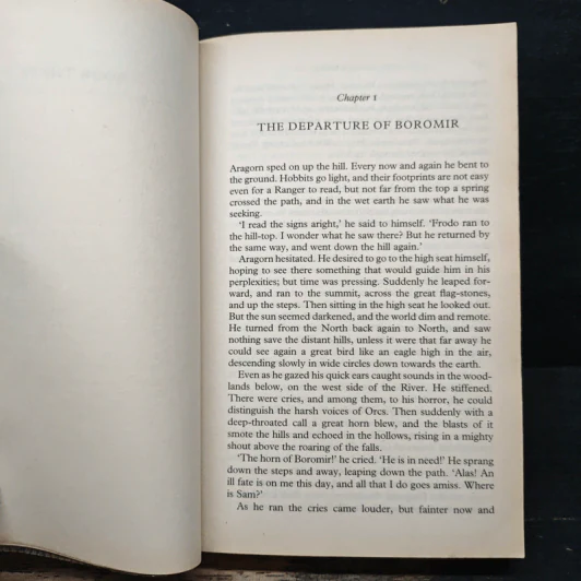The Two Towers - J.R.R. Tolkien รูปที่ 10