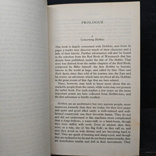 The Fellowship of the Ring - J.R.R. Tolkien รูปที่ 11